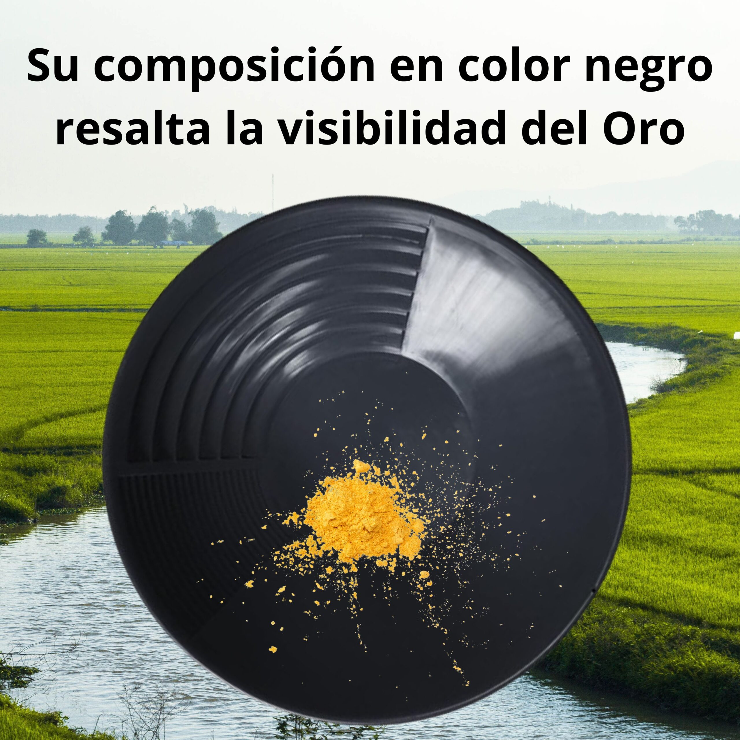 Bateas para Oro - Imagen 11